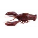 UCHIDA CRAW 5/8oz - 18gr