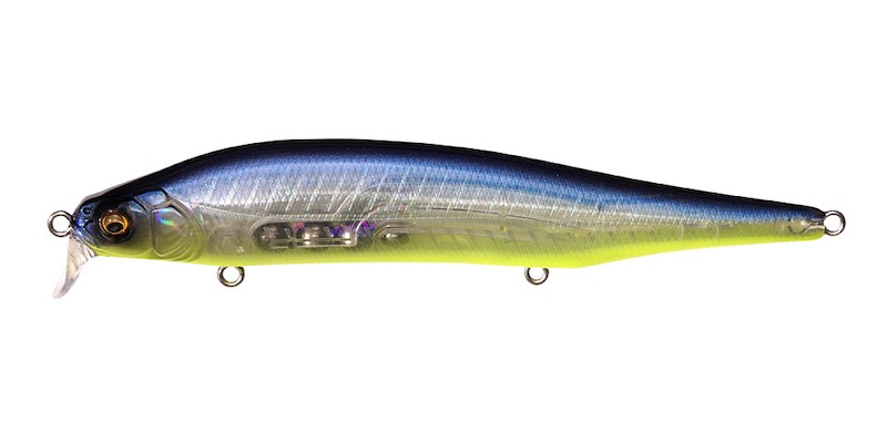 Megabass Ito Shiner - Fish In Golfe