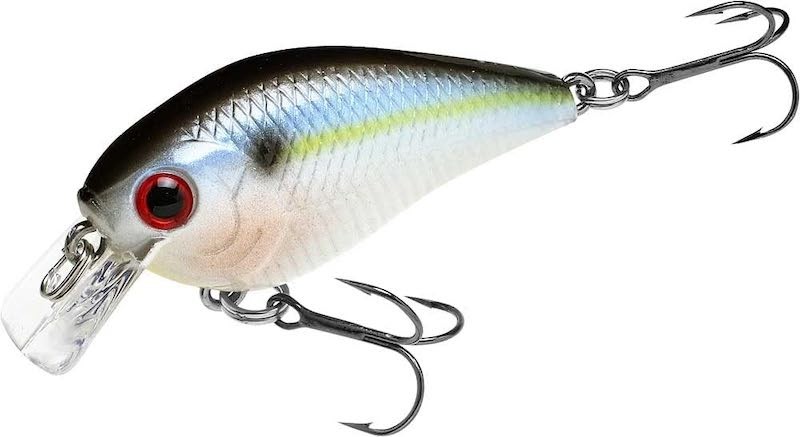 Lucky Craft LC 0.5 - 46mm - 5.3g - Floating/Silent - Bild 21 von 25