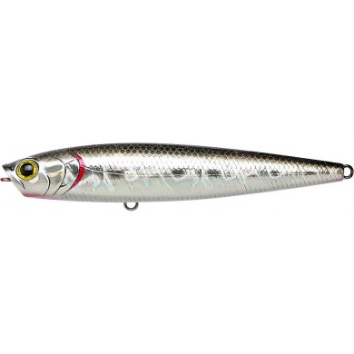 BP Golden Shiner
