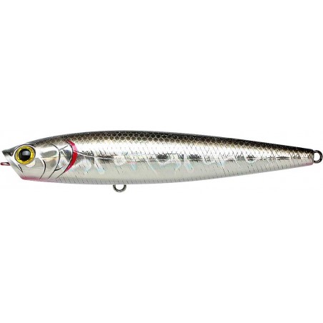 BP Golden Shiner