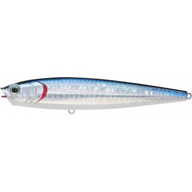 Zebra MS Aurora Negro