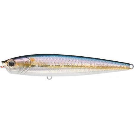 Cebra MS Sábalo americano