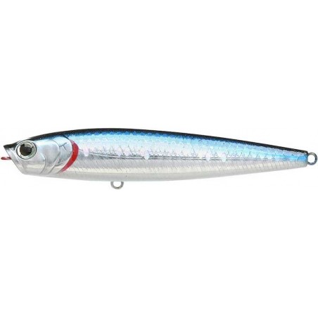 Zebra MS Aurora Negro