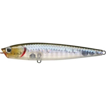 Cebra MS Ghost Minnow