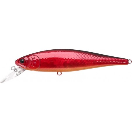 Aurora Craw
