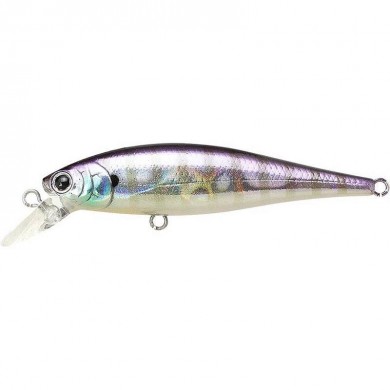 Gill