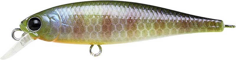 Lucky Craft B Freeze Pointer 48 SP - 48mm - 2.6g - Suspending - Imagen 8 de 9