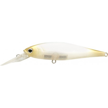 NC Shell Blanco