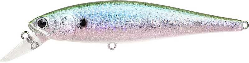 Lucky Craft B Freeze Pointer 100 S SW - 100mm -18.5g - Sinking - Photo 11/13