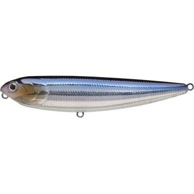 Aurora Skeleton Sardine
