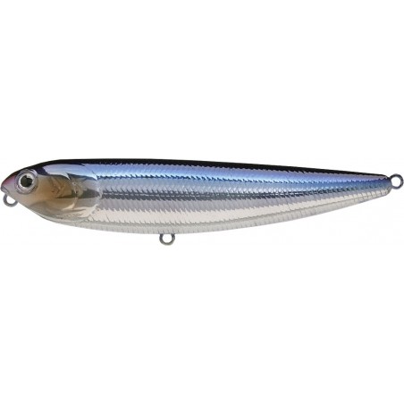 Aurora Skeleton Sardine