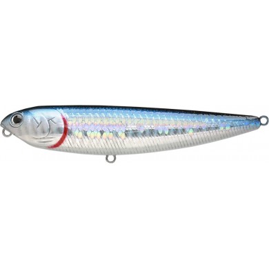 Zebra MS Aurora Black