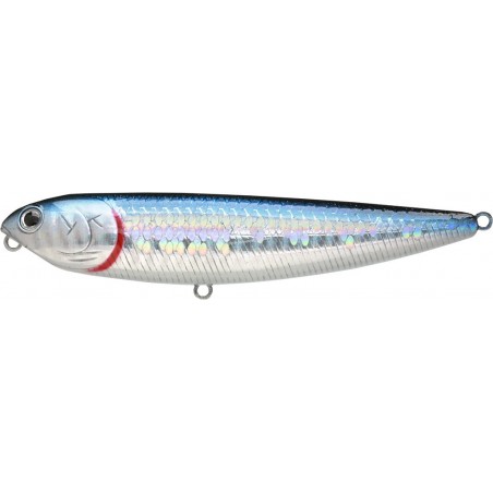 Zebra MS Aurora Black