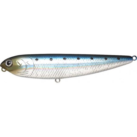 Metallic Sardine