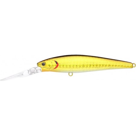 Salty Zebra Aurora Gold