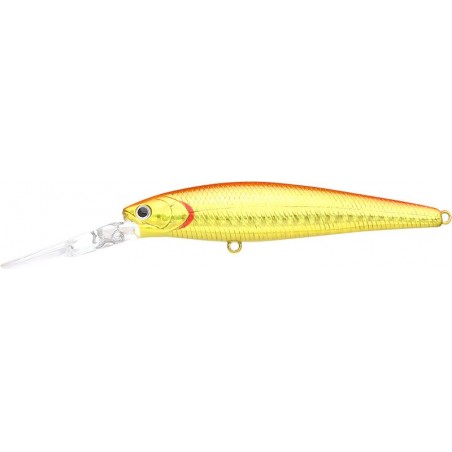 Salty Zebra Naranja Oro