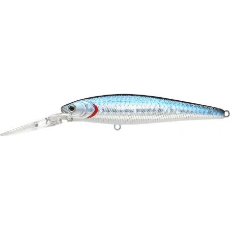 Zebra MS Aurora Negro