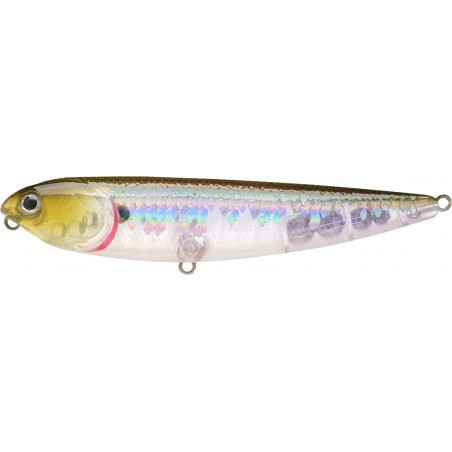 Zebra MS Ghost Minnow