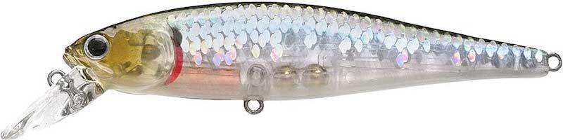 Lucky Craft B Freeze Pointer 100 S SW - 100mm -18.5g - Sinking - Photo 8/13
