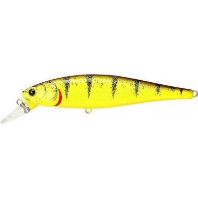 Perca tigre