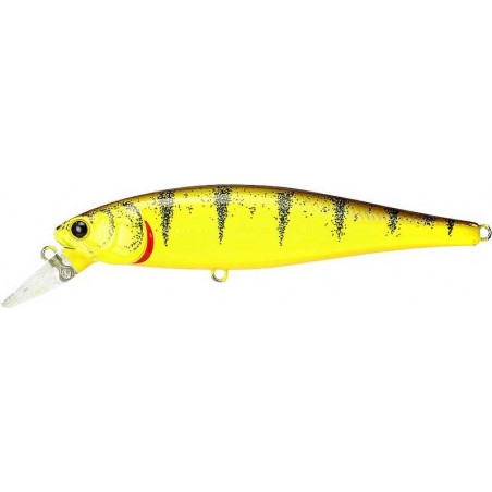 Perca tigre