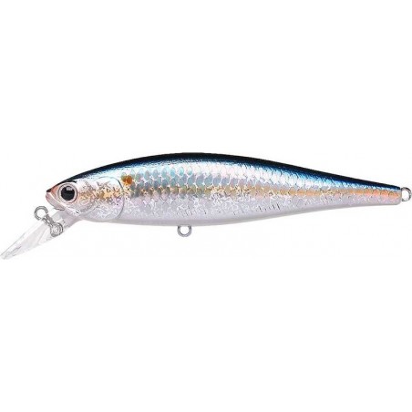 Sábalo americano MS