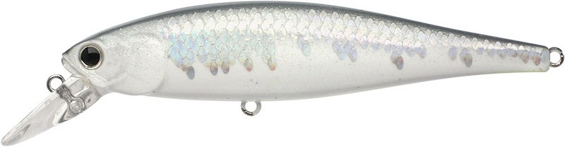 Lucky Craft B Freeze Pointer 100 SP - Photo 27/51