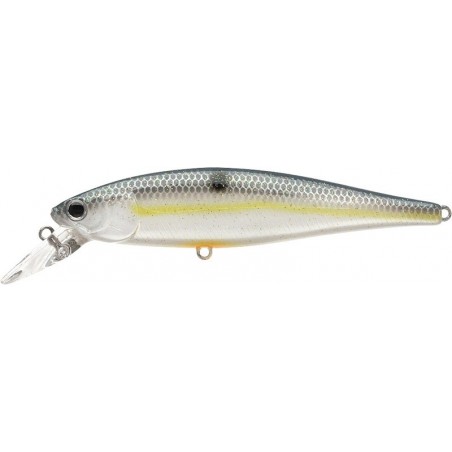 Sábalo Chartreuse Sexy