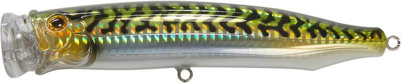 Tackle House Feed Popper 150 - Imagen 23 de 49