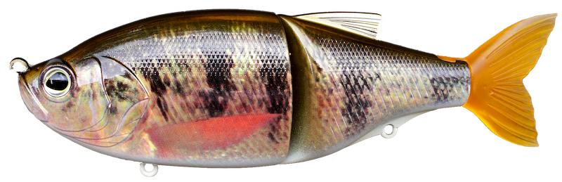 Biwaa Glidebeast 160mm - 69g - Coulant - Bild 9 von 11