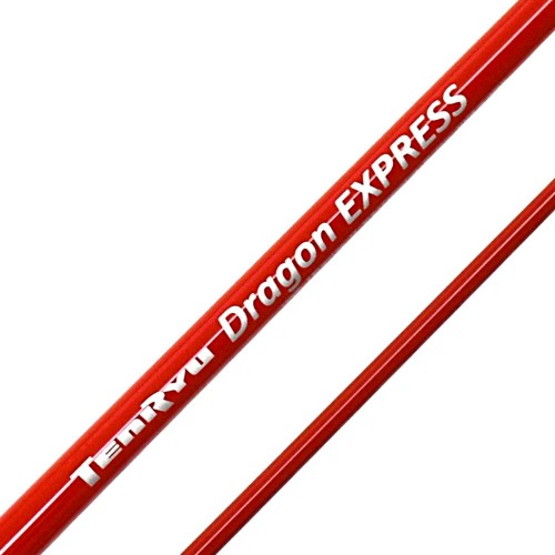 Tenryu Dragon Express
