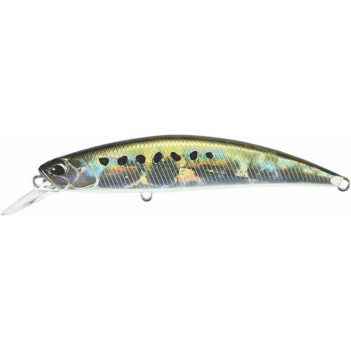 ADA0037 SARDINA NEGRA