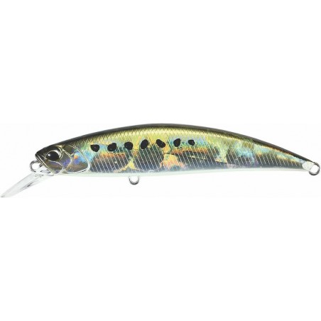 ADA0037 SARDINA NEGRA