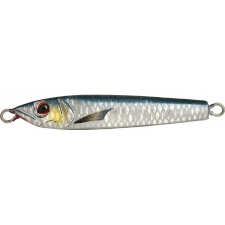 60g - 08 ANCHOVY