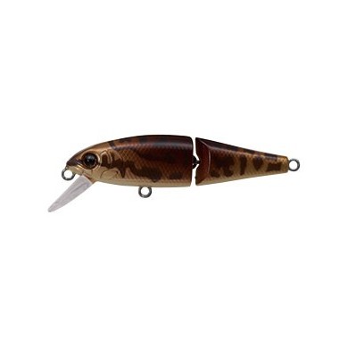1 LOACH