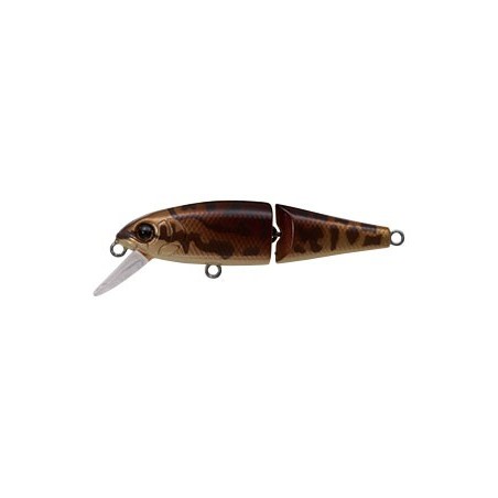 1 LOACH
