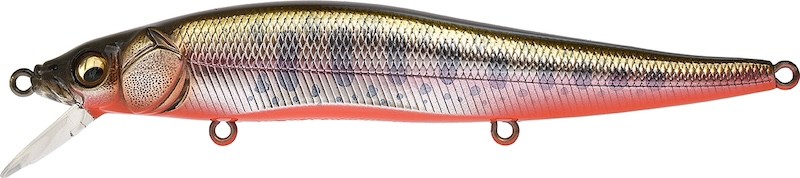 Megabass Vision 110 FW - Imagen 30 de 38