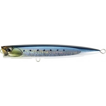 CYA0860 SCALED SARDINE