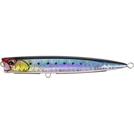 CPB0054 GENKAI SARDINE
