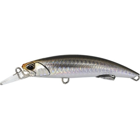 CHA0114 Anchoa transparente