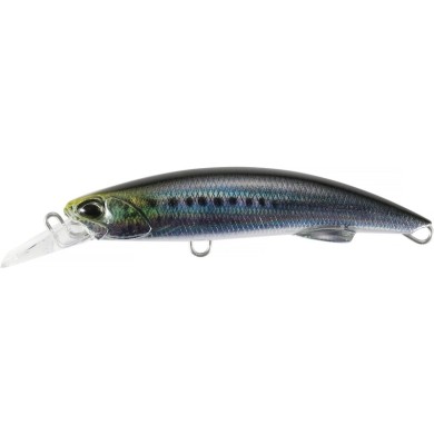 CMA0486 SARDINA REAL