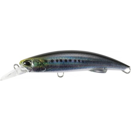 CMA0486 SARDINA REAL