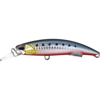 ABA0030 RB Sardinas