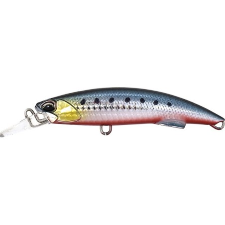 ABA0030 RB Sardinas