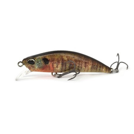 CCC3357 TRUE GILL (UF)