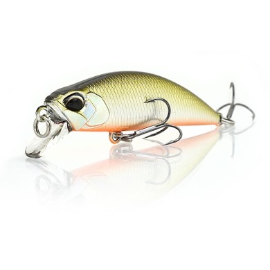 MNI4047 Sábalo de Tennessee