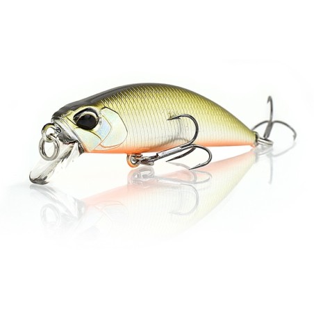 MNI4047 Sábalo de Tennessee