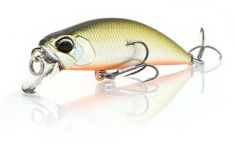 Duo Ryuki 50 S - Photo 25/54