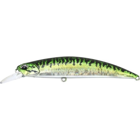 AHA0263 Green Mackerel